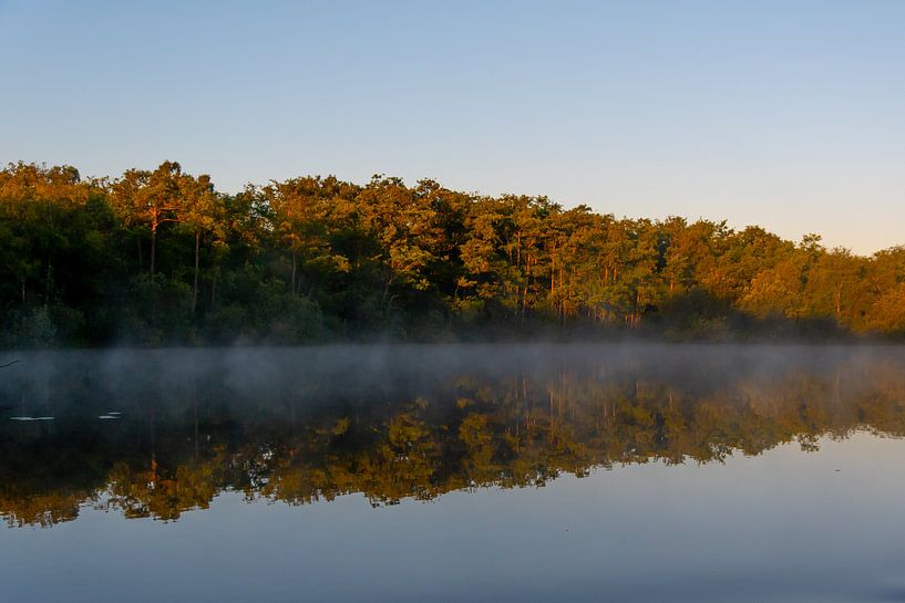 Naardermeer in morning dew by Martin Van Berkel