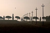 Toscane, 2008 van Arno Fooy thumbnail