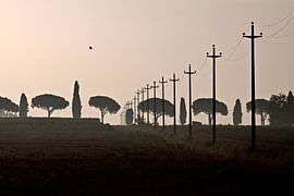 Toscane, 2008 by Arno Fooy