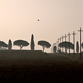 Toscane, 2008 von Arno Fooy