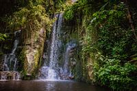 Atemberaubender hoher Wasserfall mitten im Dschungel