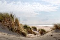 Duinen, strand en zee langs de Nederlandse kust op een mooie zomerdag van Miranda van Hulst thumbnail