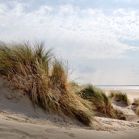 Duinen, strand en zee langs de Nederlandse kust op een mooie zomerdag van Miranda van Hulst