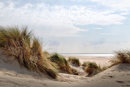 Duinen, strand en zee langs de Nederlandse kust op een mooie zomerdag van Miranda van Hulst