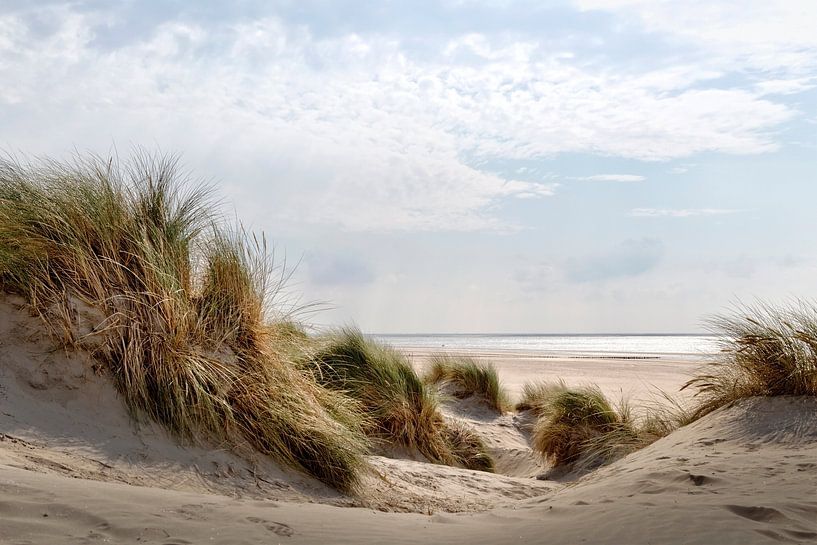 Duinen, strand en zee langs de Nederlandse kust op een mooie zomerdag van Miranda van Hulst