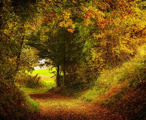Herbstfarben in Südlimburg