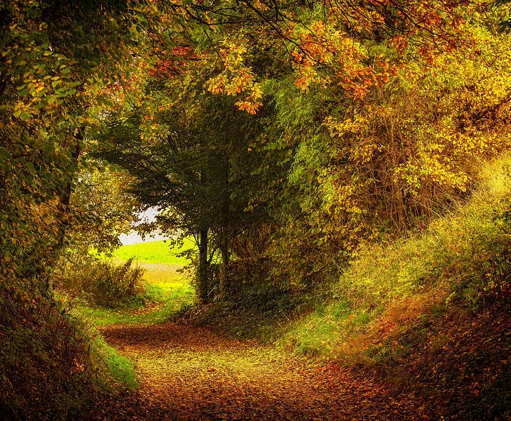 Herbstfarben in Südlimburg von John Kreukniet