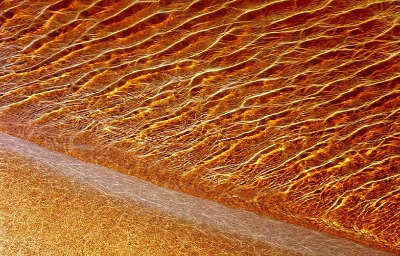 Gold Rush by Caroline Lichthart