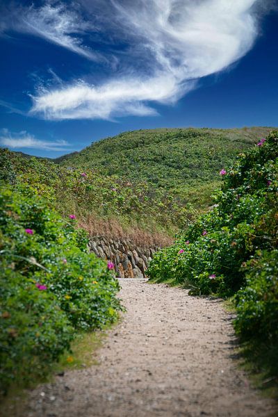 Path through dunes by Stefan Kreisköther