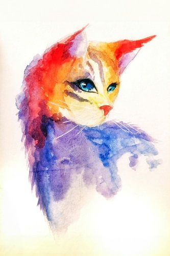 Gekleurde kat in waterverf van Evert Schiphuis