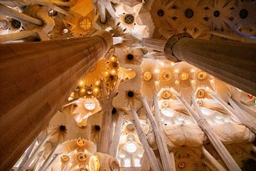 Sagrada Familia in Barcelona van Mark Zoet