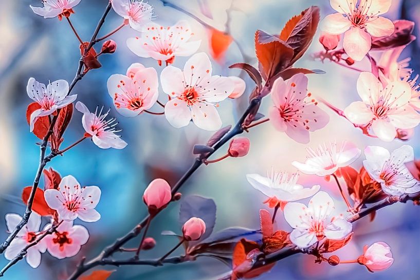 Sakura von Manjik Pictures