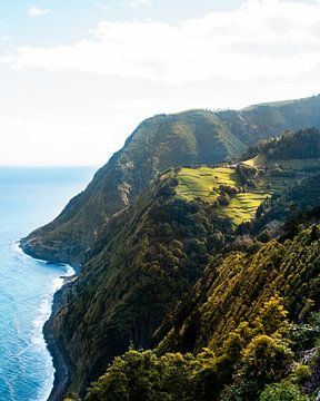 Küstenlinie von São Miguel auf den Azoren von Dayenne van Peperstraten