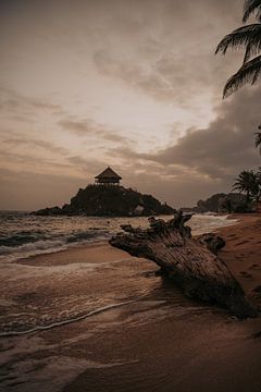 Magie van de ochtend in Tayrona National Park van Thirza Wijnja