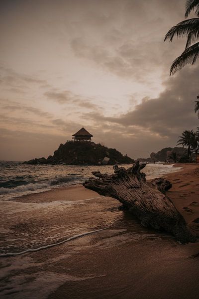 Magie du matin dans le parc national de Tayrona par Thirza Wijnja