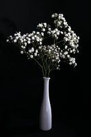 Stilleven met gipskruid in witte vaas