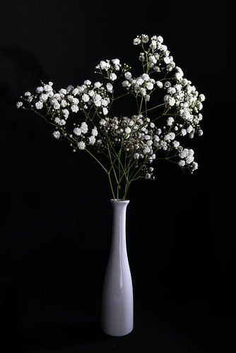 Nature morte avec gypsophile dans un vase blanc