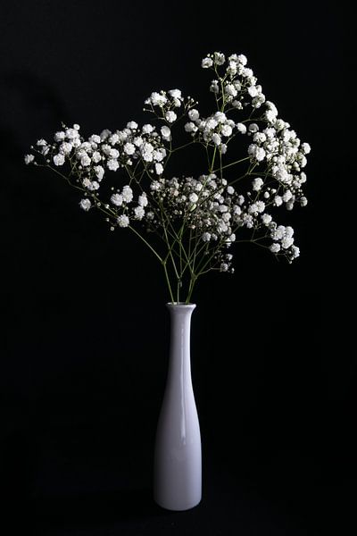 Nature morte avec gypsophile dans un vase blanc par Felix Sedney