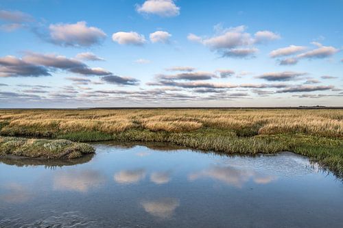 Avondlicht op het Wad Nabij Paesens Moddergat met wolken gespiegeld in stilstaand water.