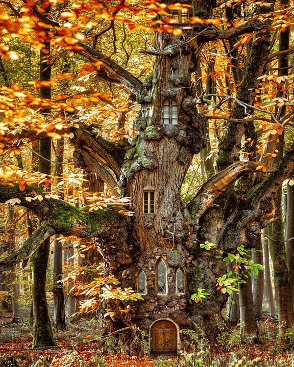 With Elven Eyes 49 van <span class="secondary-font">Lars van de Goor</span>
