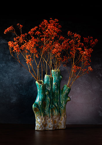 Orange gypsophila.