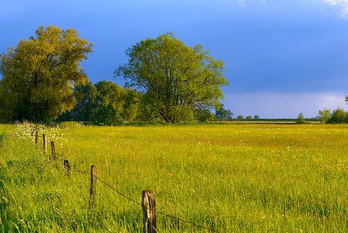 Landschap in de uiterwaarden van de IJssel in het voorjaar
