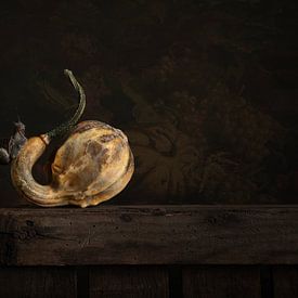 Citrouille et escargot sur Elles Rijsdijk