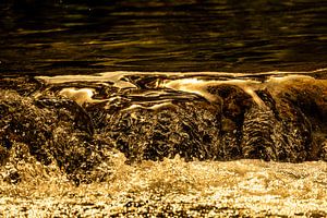 Tanz der Natur | Wasser