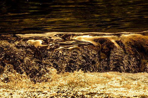 Dans van Natuur | Water