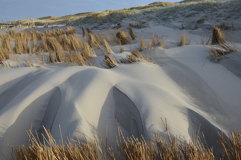 The Dune by Corinna Vollertsen