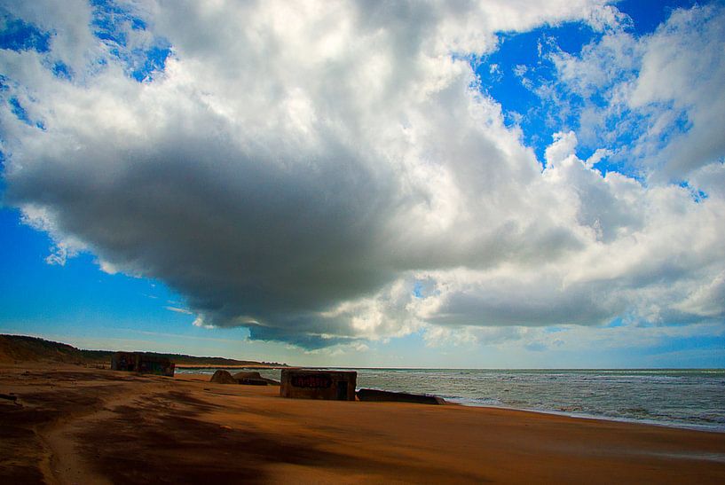 Dans le vent par Doms Photos