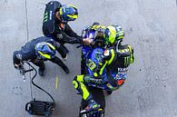 Valentino Rossi van Marco Dek thumbnail