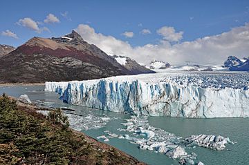 Tegenover de witte reus van Argentinië van Frank Photos