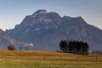 Le Säuling avec le château de Neuschwanstein au crépuscule