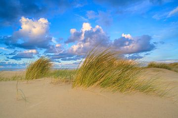 Sunset at the beach of Texel with sand dunes in the foreground