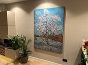 Kundenfoto: Der rosa Pfirsichbaum - Vincent van Gogh