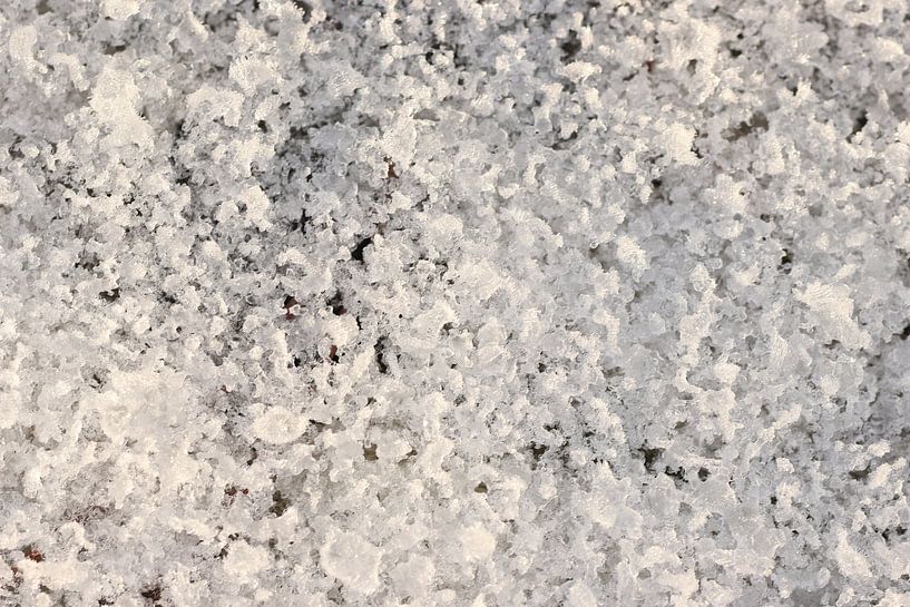 Sneeuw in de ochtendzon van Daniëlle Eibrink Jansen