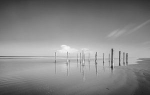 Polonais à la plage pendant un beau jour d'hiver à l'île de Schiermonnikoog dans la région de Wadden sur Sjoerd van der Wal Photographie