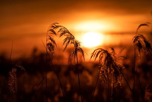 Het einde van een zomerdag aan het meer