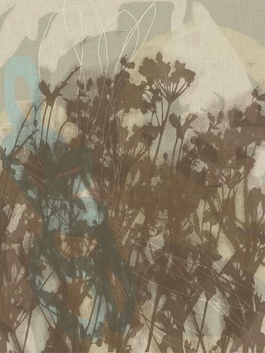Botanische kunst in neutraal bruin, wit, grijs, blauw. Monotypes weidebloemen.