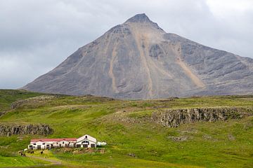 boerderij en vulkaan op Vatnsness, IJsland van Jan Fritz