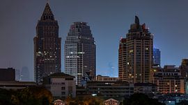 Die Baumtürme von Paul Vergeer