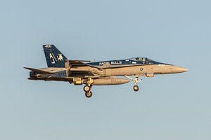 Eine wunderschöne McDonnell Douglas F/A-18C Legacy Hornet bei der Landung auf der NAS Oceana fotogra