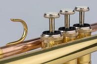 Muziekinstrument trompet in detail par Tonko Oosterink Aperçu