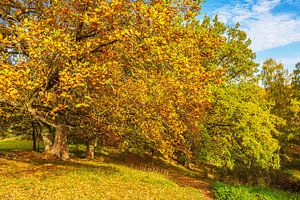Landschaft im Herbst in der Feldberger Seenlandschaft