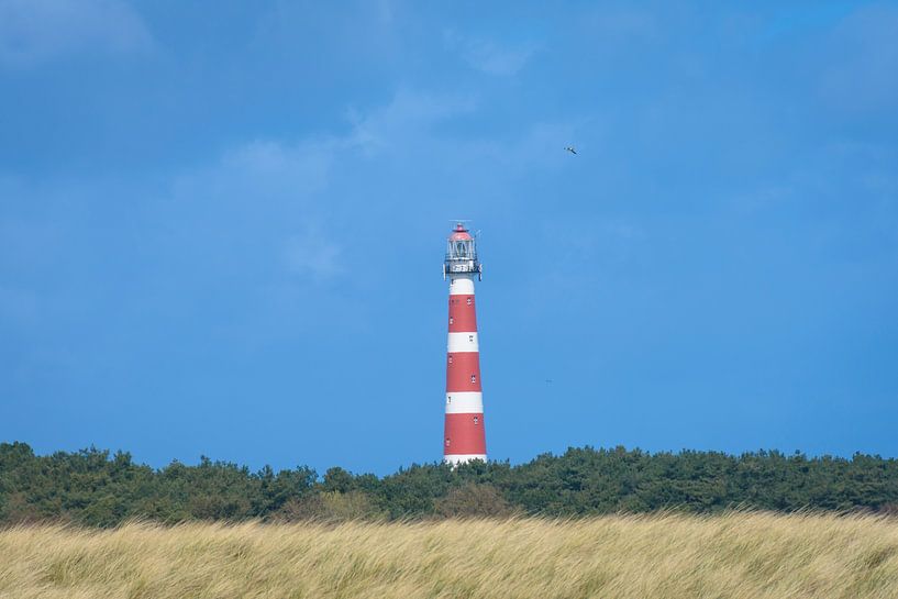 Leuchtturm von BeeldWoord