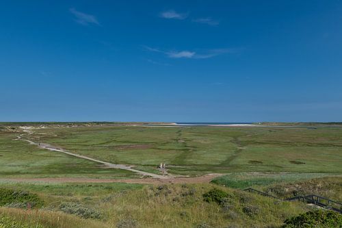De Slufter, Texel