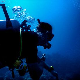 Reflection of Nature Profile picture