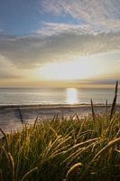 On top of the dunes of Ameland