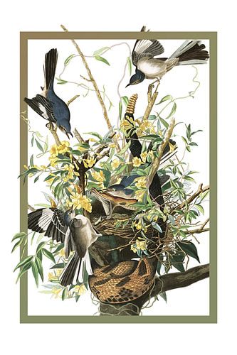 To kill a mockingbird in a frame by Jadzia Klimkiewicz